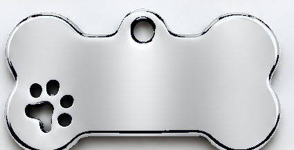Front of mirror stainless steel paw pet ID